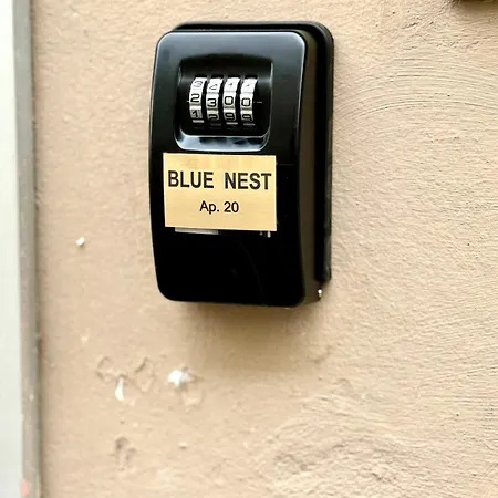 Blue Nest * Timisoara