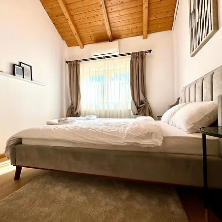 Διαμέρισμα Blue Nest Τιμισοάρα