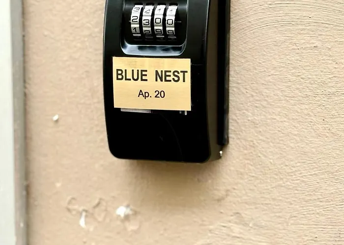 Blue Nest * טימישוארה